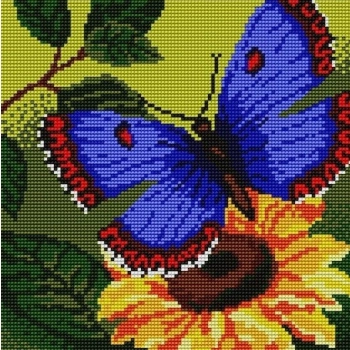 Kanwa MOTYL 24x24